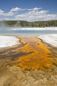 WY, Yellowstone National Park, Black Sand Basin, Rainbow Pool, and colorful bacterial mat WY, Yellowstone National Park, Black Sand Basin, Rainbow Pool, and colorful bacterial mat