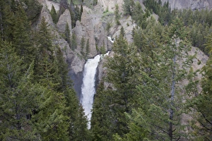 WY, Yellowstone National Park, Tower Fall, Tower Creek tumbles 132 feet WY, Yellowstone National Park, Tower Fall, Tower Creek tumbles 132 feet