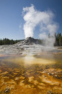 WY, Yellowstone National Park, Upper Geyser Basin, Crested Pool, colorful bacterial mat WY, Yellowstone National Park, Upper Geyser Basin, Crested Pool, colorful bacterial mat