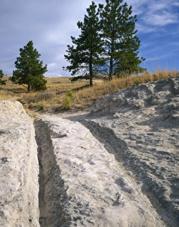 WYOMING. USA. Wagon ruts in rock along Oregon Trail near Guernsey WYOMING. USA. Wagon ruts in rock along Oregon Trail near Guernsey
