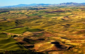Yellow Green Wheat Fields Roads and Farms from Steptoe Butte at Palouse Washington Yellow Green Wheat Fields Roads and Farms from Steptoe Butte at Palouse Washington