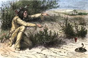 Prints of Apache hunter procuring poison for his arrows by causing a rattlesnake to bite into a deer liver. Hand-colored woodcut of a 19th-century illustration Rattlesnake Prints: Apache Hunter Procuring Poison for Arrows Print