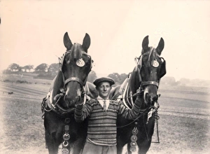 Petworth Ploughing Match, October 1928 Petworth Ploughing Match, October 1928