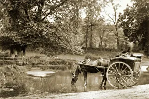 Postman with horse-drawn cart, Findon, near Worthing Postman with horse-drawn cart, Findon, near Worthing