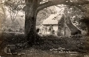 Prints of Old Time Cottage at Wiston, nr Steyning Photographer: Drewett, W. J. Photographic Collection West Sussex Record Office Ref No: PH 1163 West Sussex Prints: Black and white photograph print of Old Time Cottage at Wiston