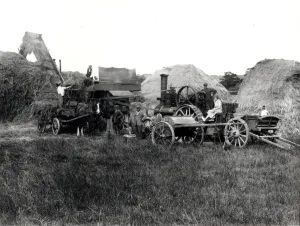 Prints of Messrs. J.O. Lugg and Son of Billingshurst, threshing in the Petworth area Photograph by George Garland Garland Collection West Sussex Record Office Ref No: Garland N4922 West Sussex Prints: Steam threshing print, 1931
