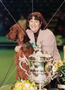 1993 Crufts Best in Show Winner