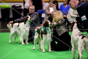 Crufts 2018