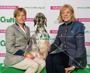 Crufts 2019 - Best of Breed / Gundog