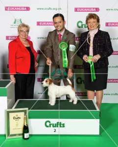 Crufts 2019 - Best of Breed / Terrier Crufts 2019 - Best of Breed / Terrier