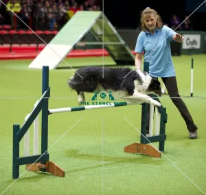 Crufts 2020 Crufts 2020
