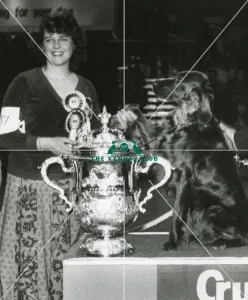 Crufts Best in Show 1981