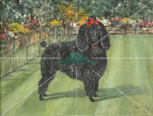 poodle, Artwork, oil, painting, outside, grass poodle, Artwork, oil, painting, outside, grass