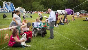 Scruffts Essex Hylands May 26, 2019 Scruffts Essex Hylands May 26, 2019