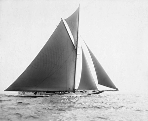 AMERICA'S CUP, 1901. The American yacht, Independence during the eleventh international AMERICA'S CUP, 1901. The American yacht, Independence during the eleventh international