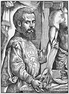 ANDREAS VESALIUS (1514-1564). Belgian anatomist ANDREAS VESALIUS (1514-1564). Belgian anatomist