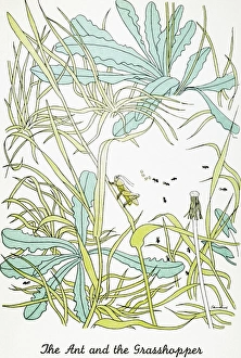 The Ant and the Grasshopper. Watercolor by Christopher Sanders depicting Aesops fable The Ant and the Grasshopper. Watercolor by Christopher Sanders depicting Aesops fable