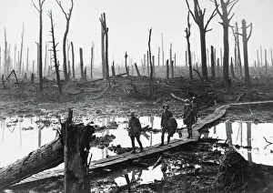 Australian troops at remains of Chateau Wood, Passchendaele, 1917 Australian troops at remains of Chateau Wood, Passchendaele, 1917