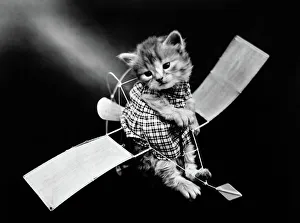 The aviator Photograph by Harry Whittier Frees, c1914 The aviator Photograph by Harry Whittier Frees, c1914