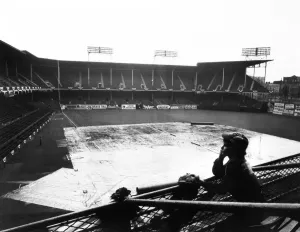 Vintage Baseball Photos Prints: EBBETS FIELD, c1950