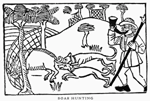 BOAR HUNTING, 1486. Woodcut from Le Livre du Roy Modus, 1486 BOAR HUNTING, 1486. Woodcut from Le Livre du Roy Modus, 1486