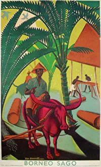 BORNEO SAGO. British Empire Marketing Board poster, 1931 BORNEO SAGO. British Empire Marketing Board poster, 1931