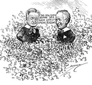 Cartoon on the Presidential election of 1928 between Herbert Hoover (left) and Alfred E Cartoon on the Presidential election of 1928 between Herbert Hoover (left) and Alfred E