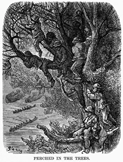 DORE: LONDON: 1872. Perched in the Trees. Children watching a rowing race on the Thames DORE: LONDON: 1872. Perched in the Trees. Children watching a rowing race on the Thames