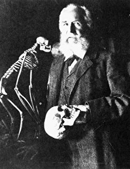 ERNST HEINRICH HAECKEL (1834-1919). German biologist and philosopher ERNST HEINRICH HAECKEL (1834-1919). German biologist and philosopher
