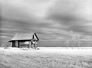 FARMHOUSE, 1940. An abandoned farmhouse in Ward County, North Dakota. Photograph by John Vachon FARMHOUSE, 1940. An abandoned farmhouse in Ward County, North Dakota. Photograph by John Vachon