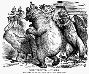 HERZEGOVINA CARTOON, 1875. Disinterested advisers. Bruin - You must feel, dear Turkey HERZEGOVINA CARTOON, 1875. Disinterested advisers. Bruin - You must feel, dear Turkey