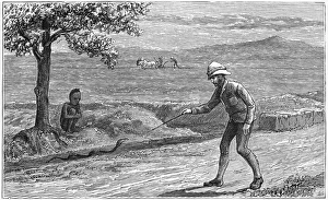INDIA: SNAKE, 1887. A snake along the roadside in India. Wood engraving, English, 1887 INDIA: SNAKE, 1887. A snake along the roadside in India. Wood engraving, English, 1887