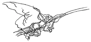 Leonardo da Vincis drawing, c1487, of a prone ornithopter with pilots legs moving Leonardo da Vincis drawing, c1487, of a prone ornithopter with pilots legs moving