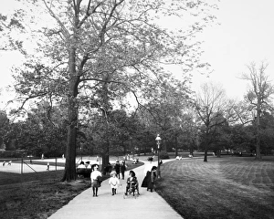 LOUISVILLE: CENTRAL PARK. Central Park, Louisville, Kentucky LOUISVILLE: CENTRAL PARK. Central Park, Louisville, Kentucky