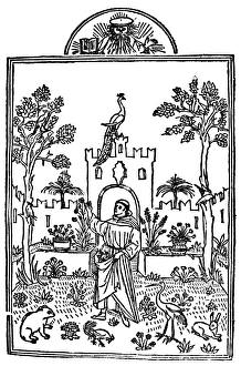MONK GATHERING FLOWERS. Woodcut from Fior de Virtu, Venice, 1493 MONK GATHERING FLOWERS. Woodcut from Fior de Virtu, Venice, 1493