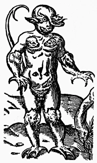 MONSTER, 1569. Woodcut from Edward Fentons Certain Secret Wonders of Nature MONSTER, 1569. Woodcut from Edward Fentons Certain Secret Wonders of Nature