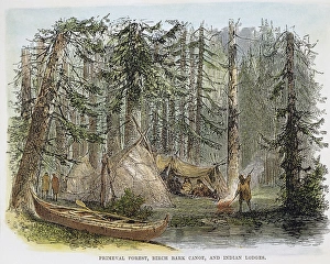 Canadian Forest Scenery Prints: NATIVE AMERICANS, CANADA: 19th CENT