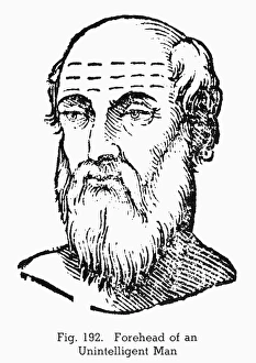 PHYSIOGNOMY, 1637. Forehead of an unintelligent man PHYSIOGNOMY, 1637. Forehead of an unintelligent man