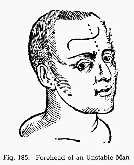 PHYSIOGNOMY, 1648. Forehead of an unstable man PHYSIOGNOMY, 1648. Forehead of an unstable man