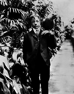 THEODORE ROOSEVELT, JR. (1887-1944). American politician, businessman, and son THEODORE ROOSEVELT, JR. (1887-1944). American politician, businessman, and son