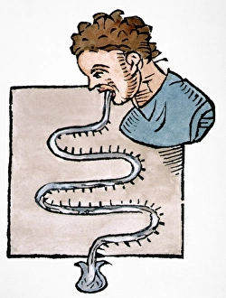 Thermometer invented by Santorio Sanctorius. Woodcut from his Commentaria, 1625 Thermometer invented by Santorio Sanctorius. Woodcut from his Commentaria, 1625