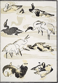 Various birds: woodblock print from the Manga of Katsushika Hokusai, 1817 Various birds: woodblock print from the Manga of Katsushika Hokusai, 1817