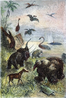 VERNE: JOURNEY. A prehistoric world as viewed by Jules Verne in A Journey to the Center VERNE: JOURNEY. A prehistoric world as viewed by Jules Verne in A Journey to the Center