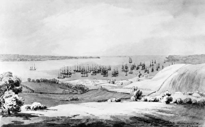'View of the Narrows between Long Island and Staten Island with our fleet at anchor 'View of the Narrows between Long Island and Staten Island with our fleet at anchor