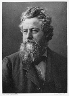 WILLIAM MORRIS (1834-1896). English artist and poet. Photographed in 1880 WILLIAM MORRIS (1834-1896). English artist and poet. Photographed in 1880