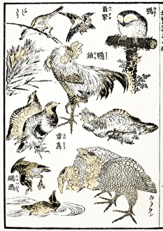 Woodblock print from the Manga od Katsushika Hokusai, 19th century Woodblock print from the Manga od Katsushika Hokusai, 19th century