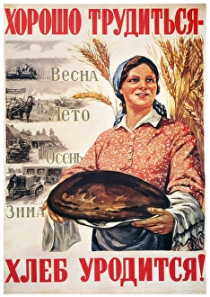 Work hard during harvest time and you will be rewarded with plenty of bread Work hard during harvest time and you will be rewarded with plenty of bread