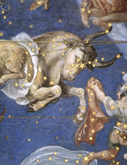 ZODIAC: TAURUS. Fresco, 1575, from Villa Farnese, Caprarola, Italy ZODIAC: TAURUS. Fresco, 1575, from Villa Farnese, Caprarola, Italy