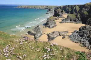 Print of The Bedruthan Steps on a Spring Day with Thrift in Bloom