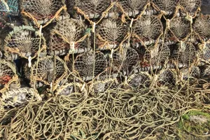 Charlestown Quayside Lobster Pots Print